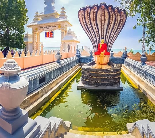 Nagadeepa Raja Maha Viharaya