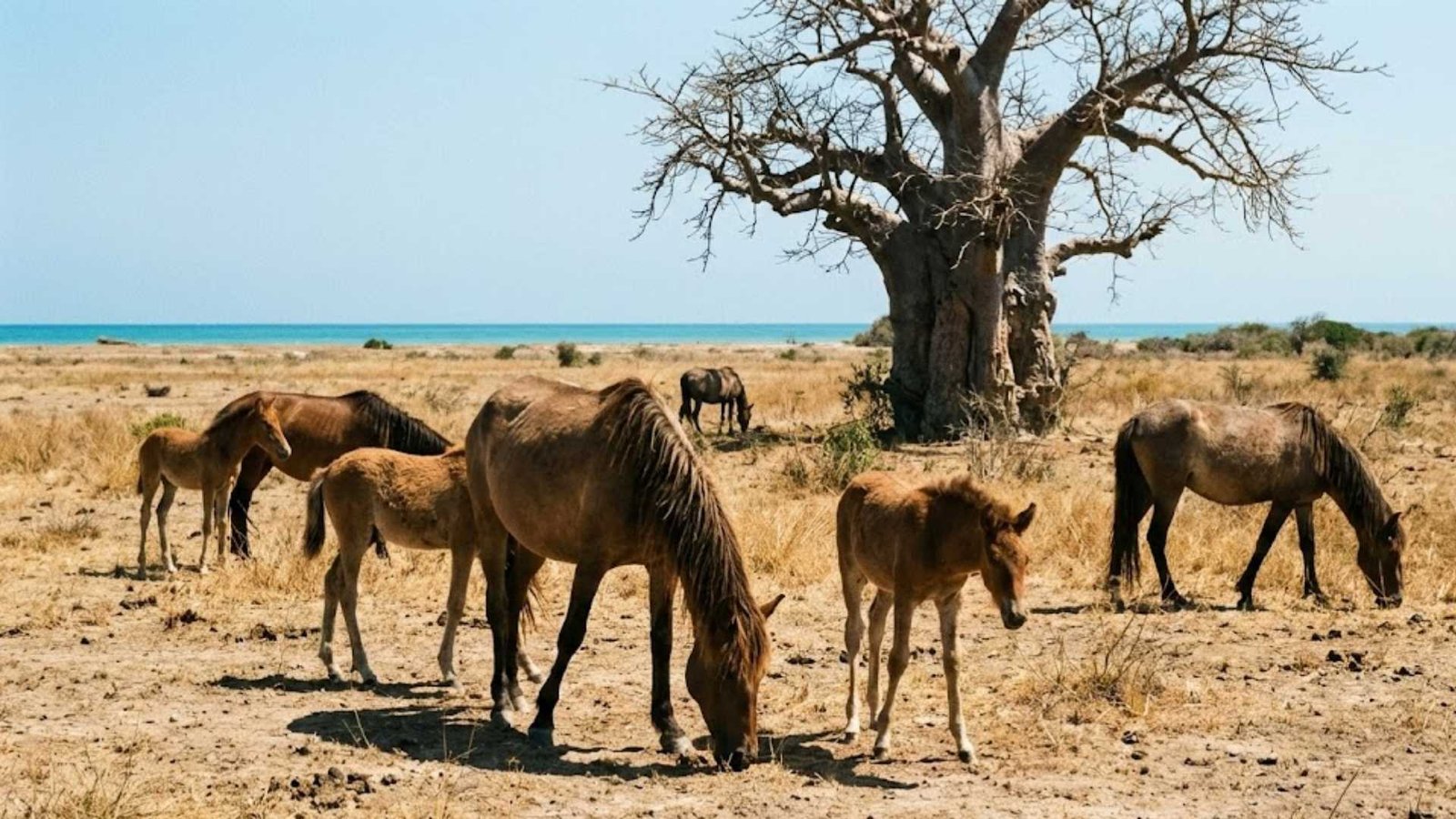 Places to visit in Jaffna